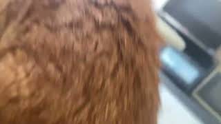 Thumbnail of post image 167