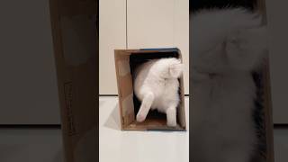 Thumbnail of post image 023