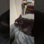 Thumbnail of related posts 123