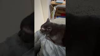 Thumbnail of post image 075