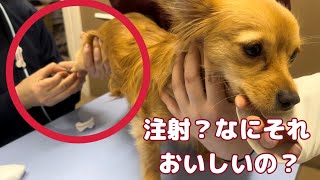 Thumbnail of post image 108