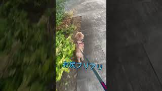 Thumbnail of post image 044