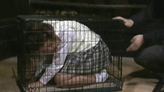 Thumbnail of post image 122