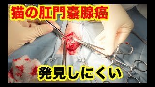 Thumbnail of post image 154