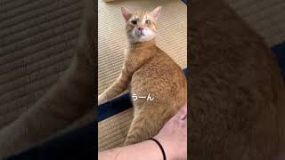 Thumbnail of post image 007