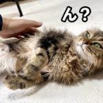 Thumbnail of related posts 191