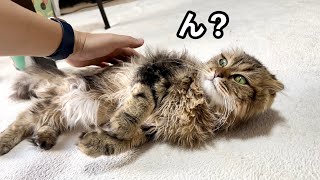 Thumbnail of post image 193