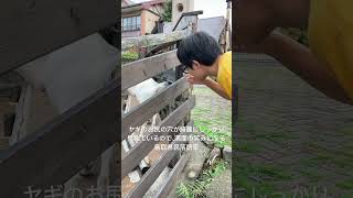 Thumbnail of post image 162