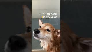 Thumbnail of post image 141