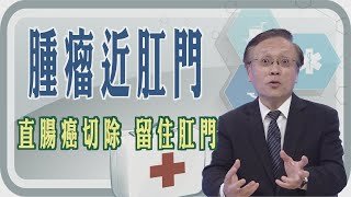 Thumbnail of post image 121