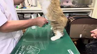 Thumbnail of post image 144