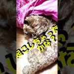 Thumbnail of related posts 060