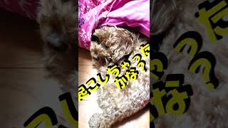 Thumbnail of post image 089