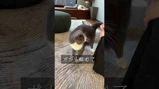 Thumbnail of post image 002