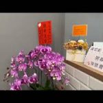 Thumbnail of related posts 157