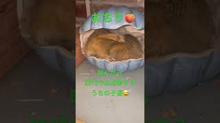 Thumbnail of post image 107