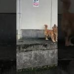 Thumbnail of related posts 027