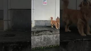 Thumbnail of post image 017