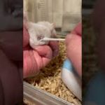 Thumbnail of related posts 165