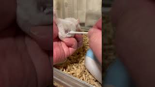 Thumbnail of post image 149