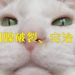 Thumbnail of related posts 146