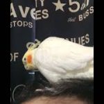 Thumbnail of related posts 008