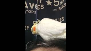 Thumbnail of post image 094