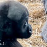 Thumbnail of related posts 038