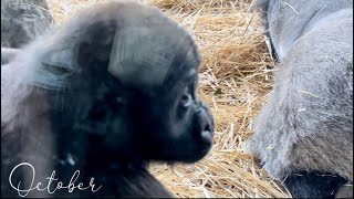 Thumbnail of post image 014