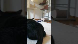 Thumbnail of post image 084