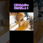 Thumbnail of related posts 096