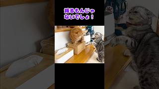 Thumbnail of post image 117