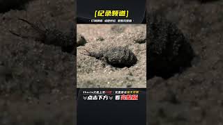 Thumbnail of post image 001