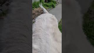 Thumbnail of post image 087