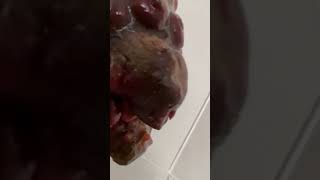 Thumbnail of post image 093