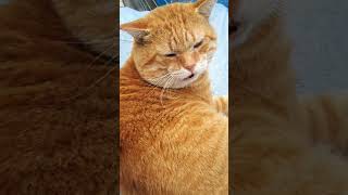 Thumbnail of post image 022