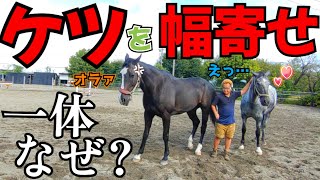 Thumbnail of post image 003