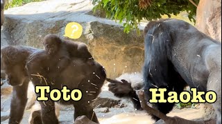 Thumbnail of post image 190