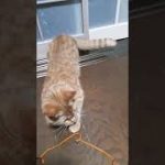 Thumbnail of related posts 002