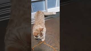 Thumbnail of post image 050