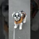 Thumbnail of related posts 178