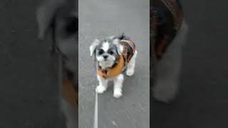 Thumbnail of post image 128