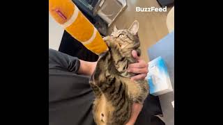 Thumbnail of post image 159