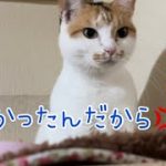 Thumbnail of related posts 036