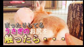 Thumbnail of post image 056