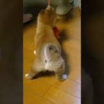 Thumbnail of related posts 023