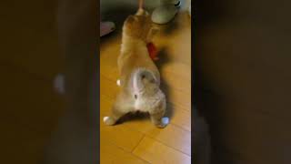 Thumbnail of post image 117