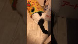 Thumbnail of post image 176