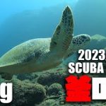 Thumbnail of related posts 080