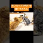 Thumbnail of related posts 157